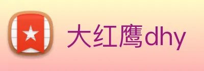 大红鹰dhy logo